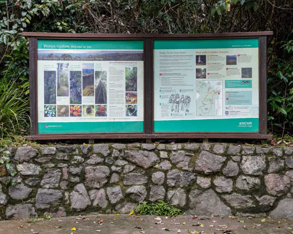 Conondale National Park Hikes