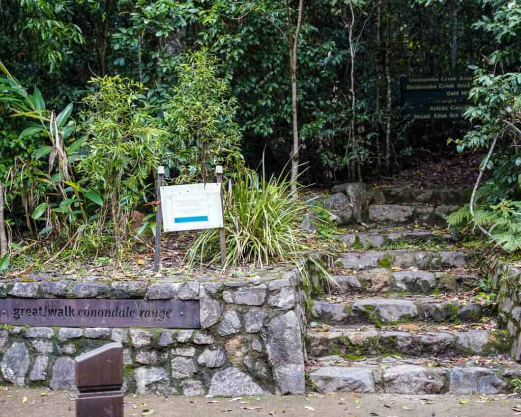 Great Walk Conondale Range