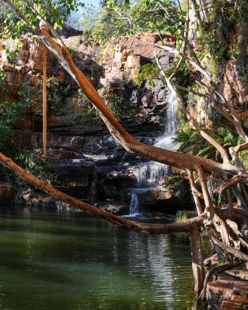 galvans gorge rope swing