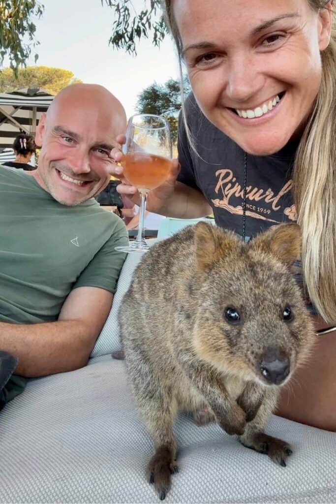 quokka rottnest island