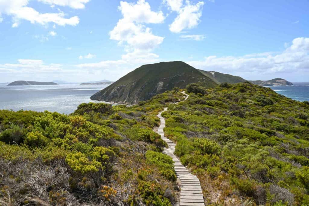 path bald head walking trail
